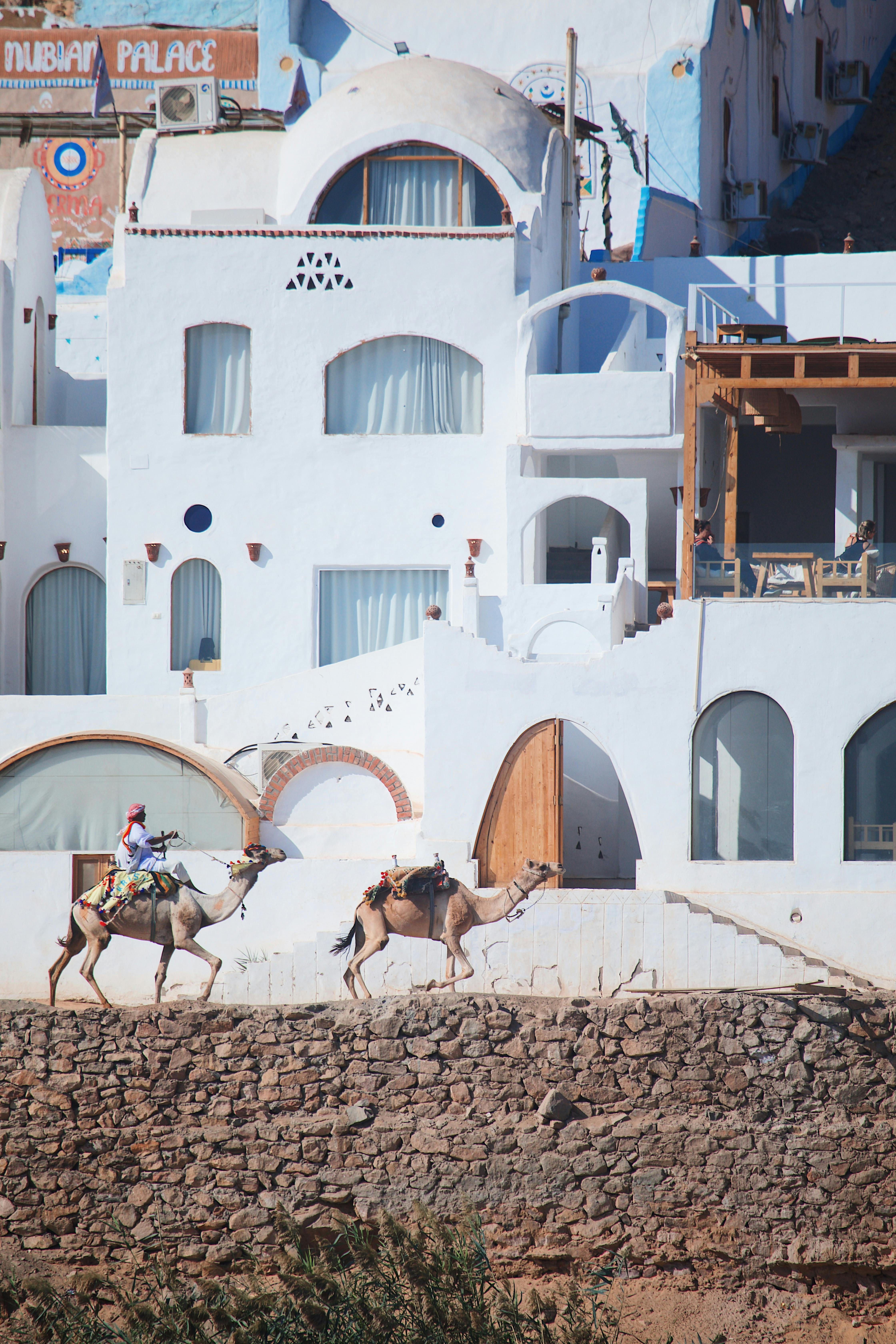 Grand Egypt Explorer Image