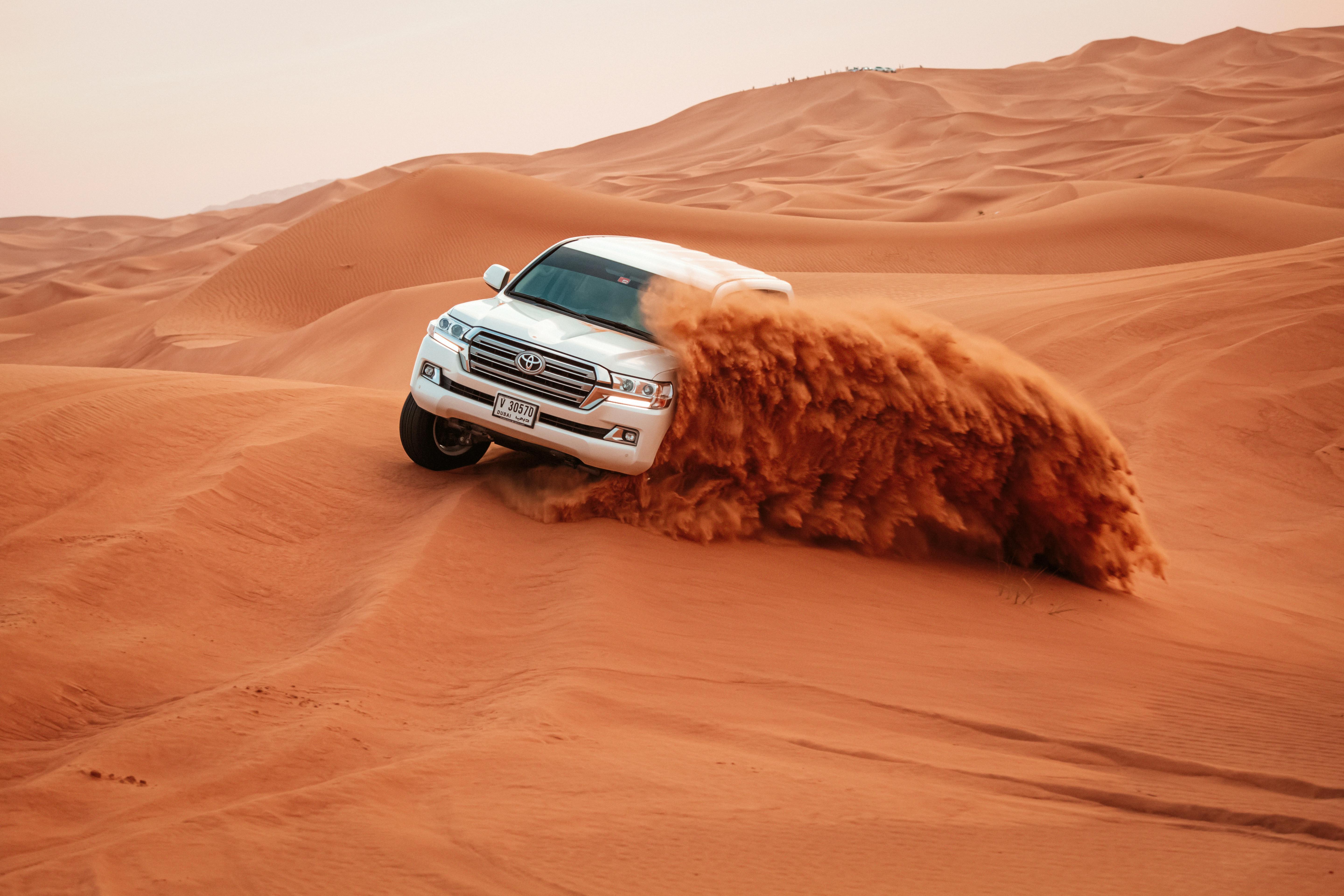 Dubai Highlights Experience