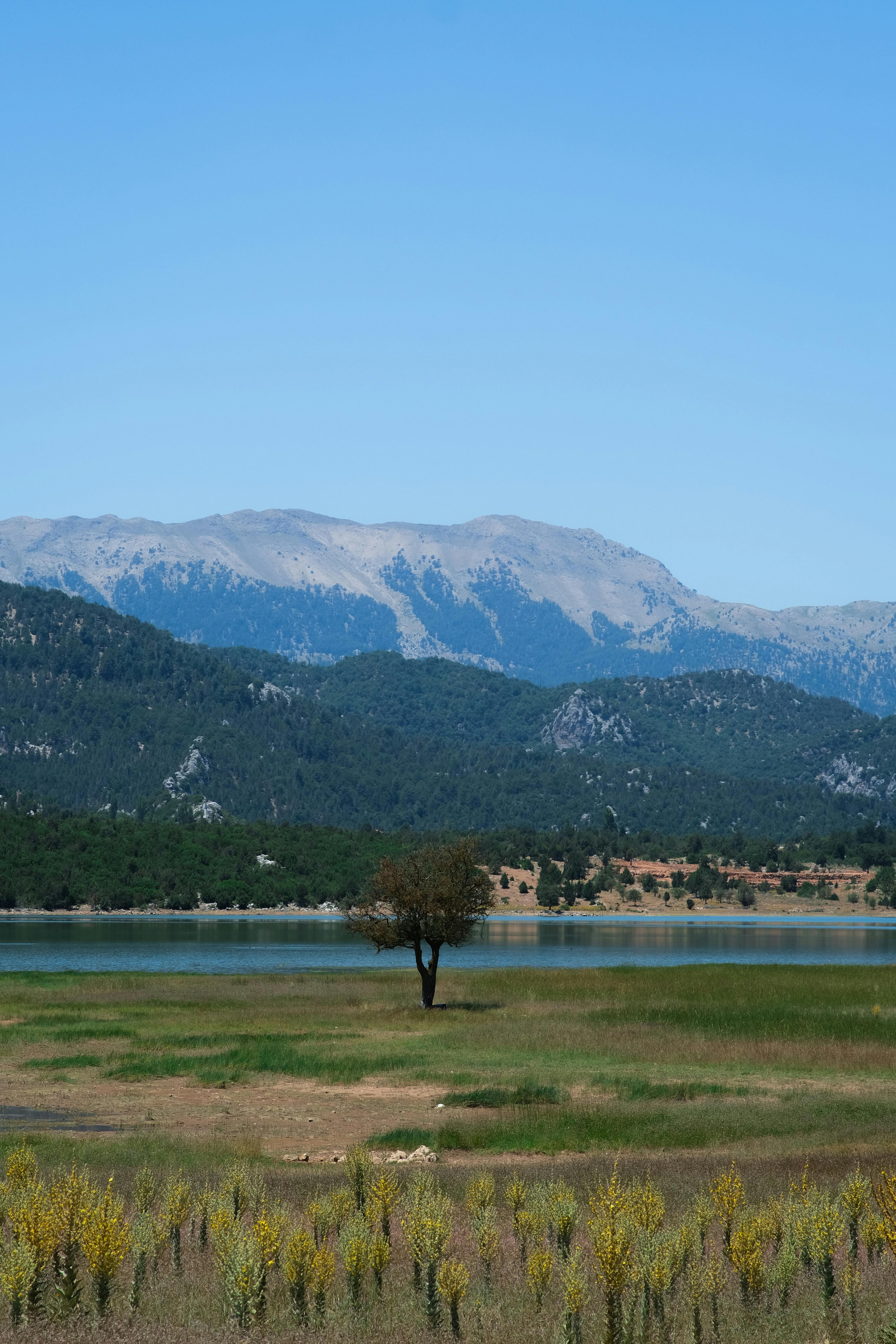 Vishansar Lake