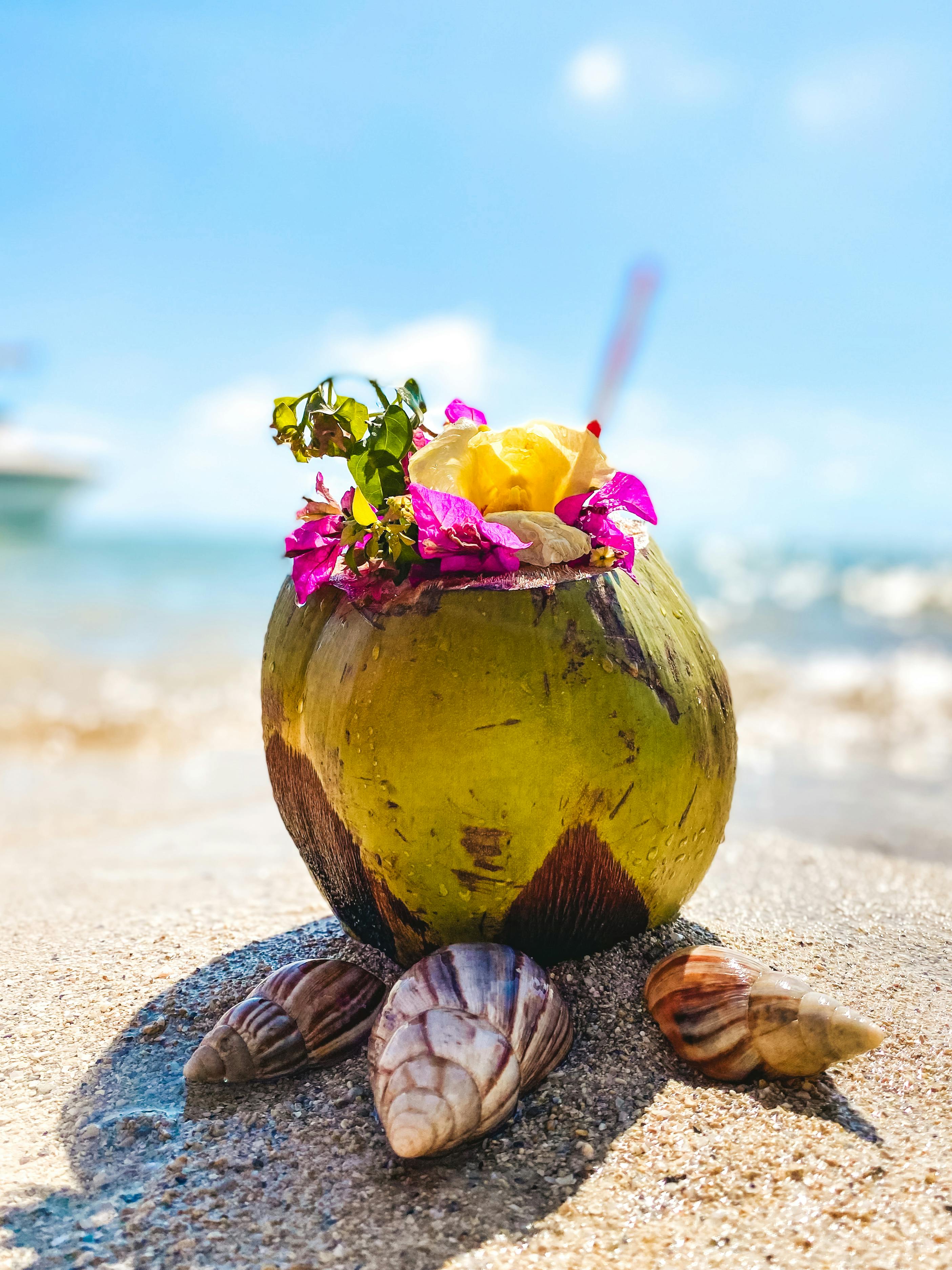Mauritius Beach Bliss