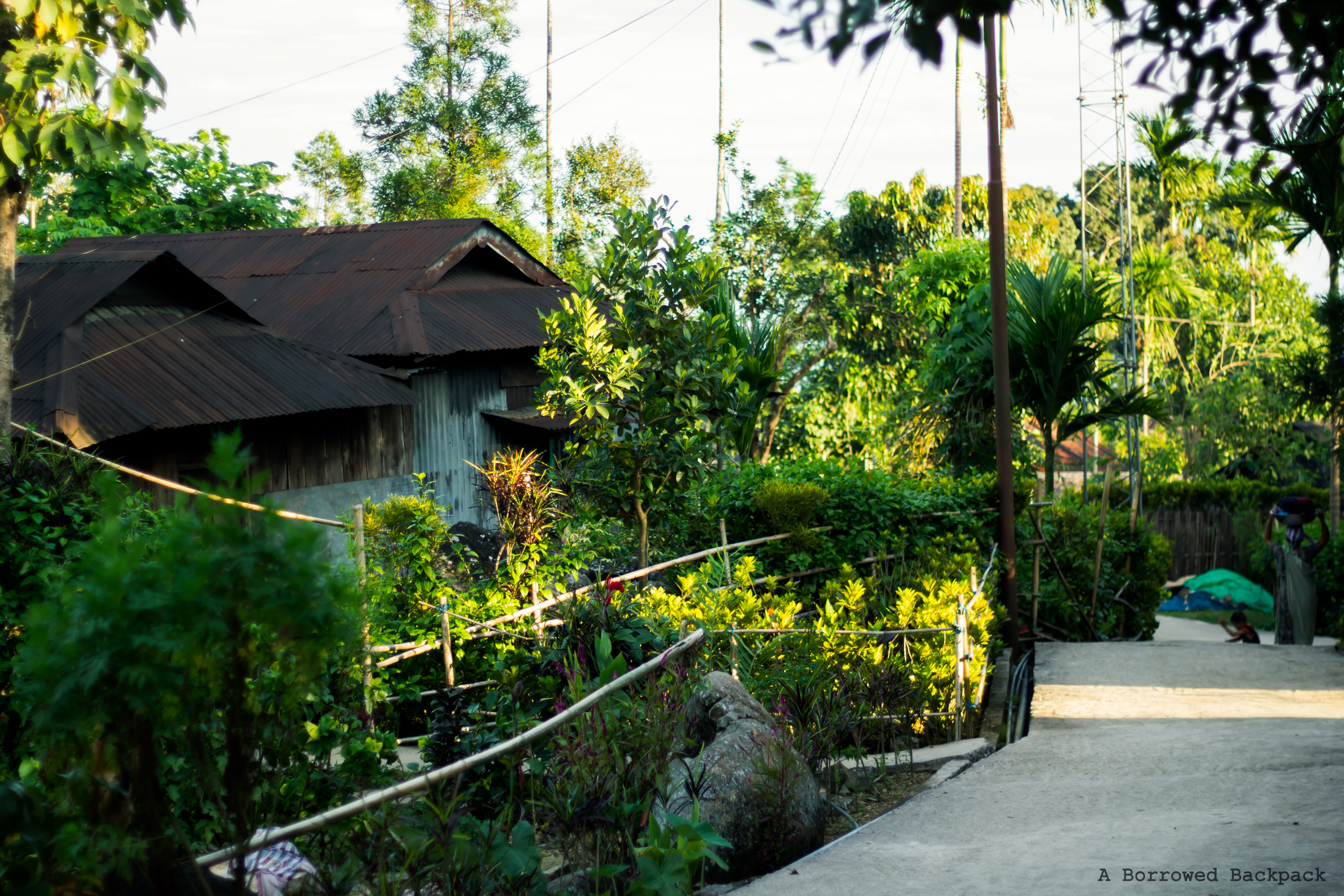 Meghalaya Waterfalls & Caves Image