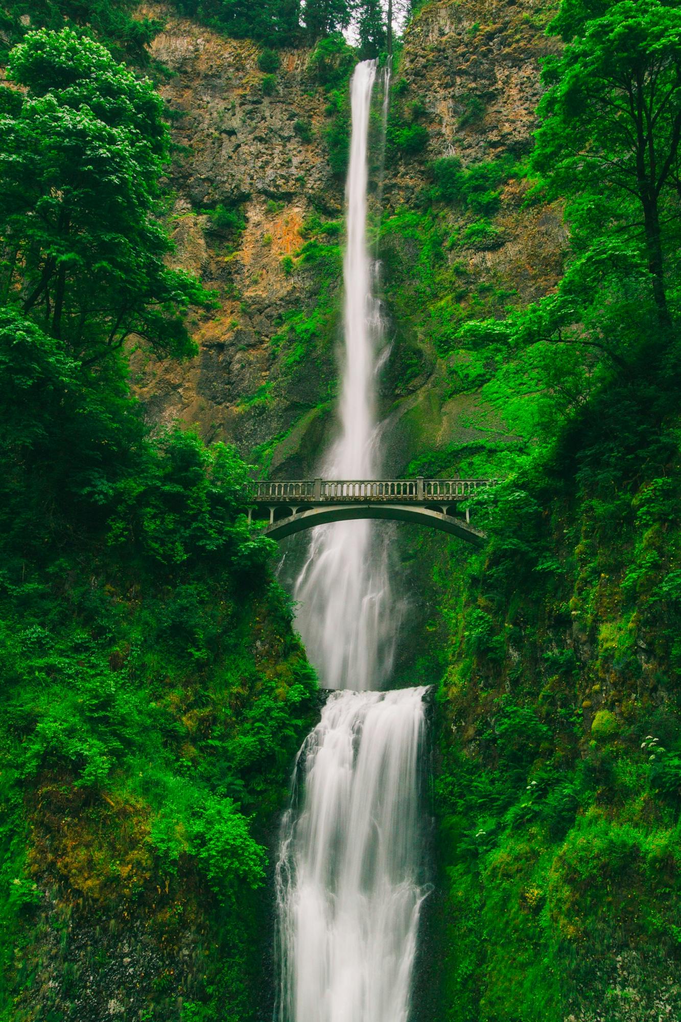 Nature