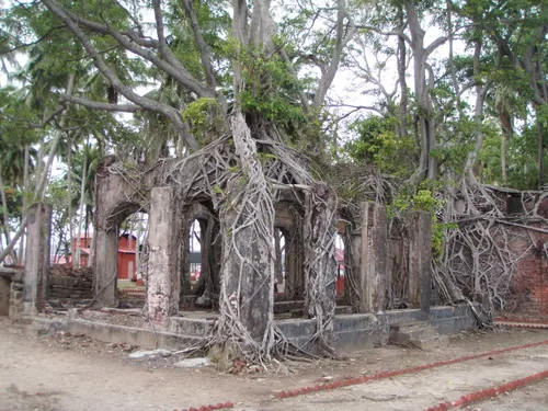 Complete Andaman Explorer Image