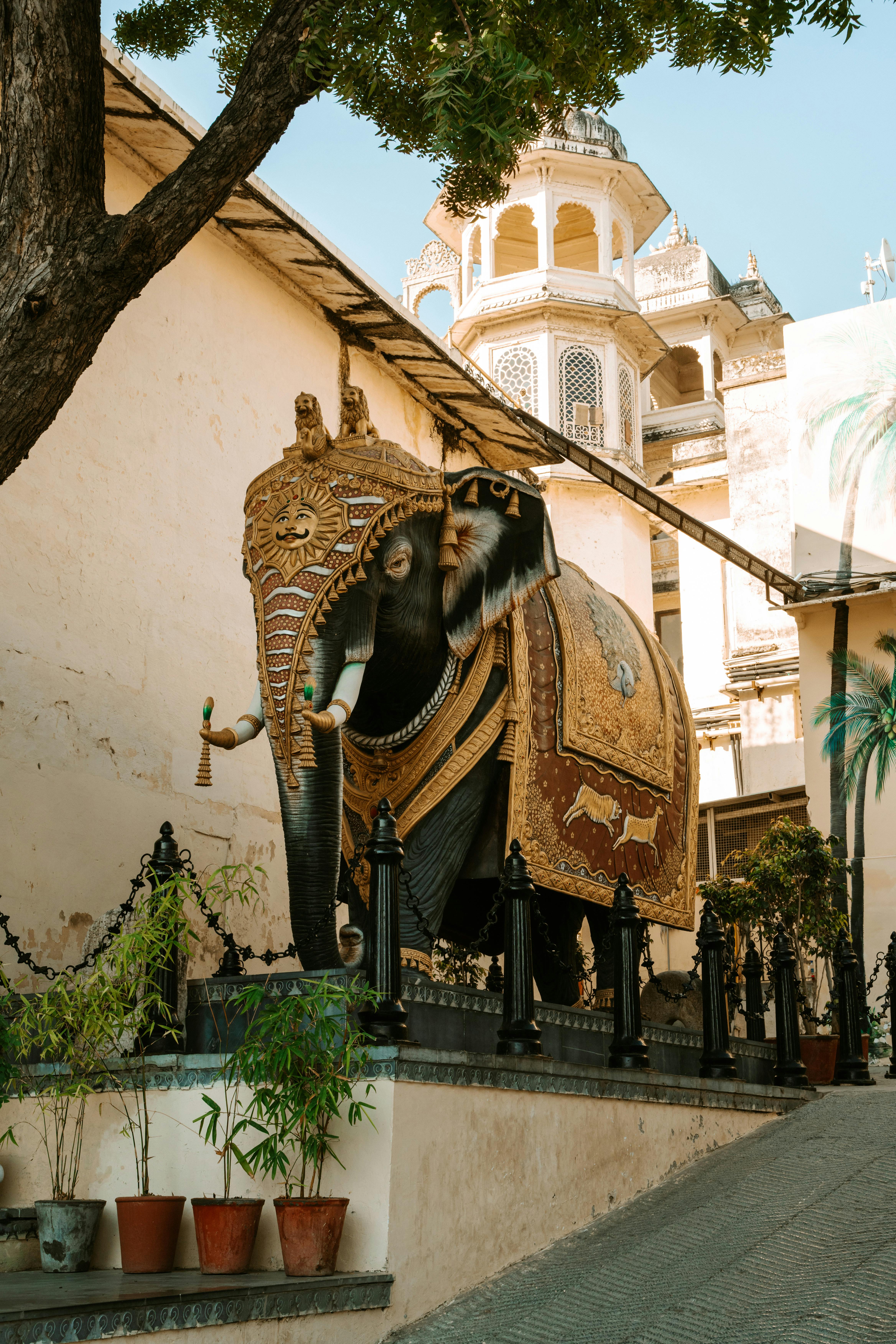 Golden Triangle Rajasthan Image